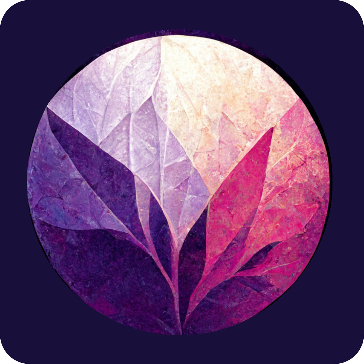 #1 Kaleido Shopify App developers - Fundraiser
